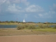 thumb_273_opal211030.jpg