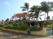 thumb_303_dsc05438.jpg