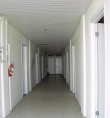 thumb_482_408cimg0288.jpg