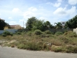 thumb_583_arubaparadera3.jpg