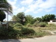 thumb_583_arubaparadera6.jpg