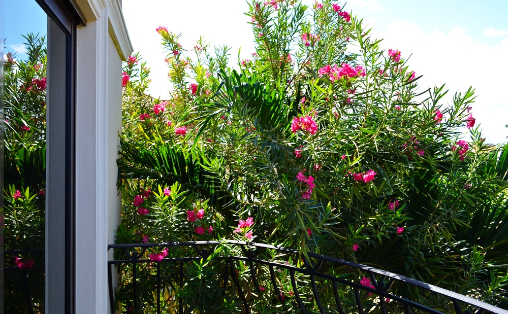 Aruba Real Estate for Sale in Gated Community Amazing Gold Coast Villa